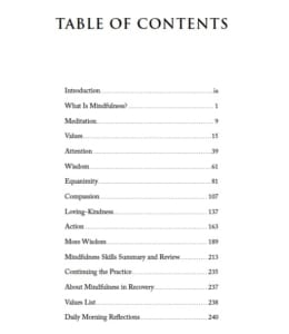 Guideboook MIR Table of Contents