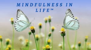 Mindfulness in Life Logo