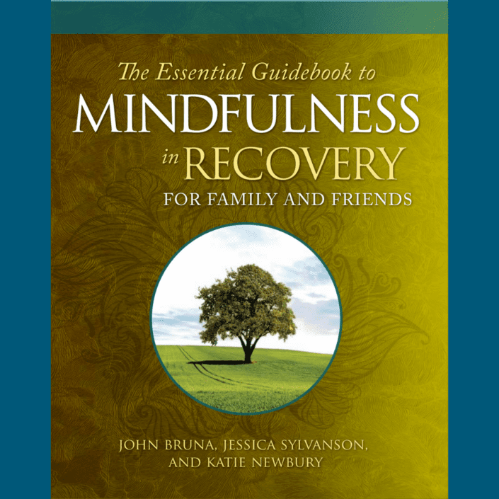 *New* The Essential Guidebook to Mindfulness in Recovery for Family and ...