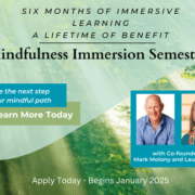 Mindfulness Immersion Semester