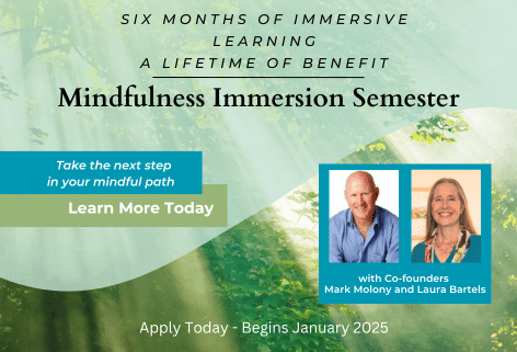 Mindfulness Immersion Semester