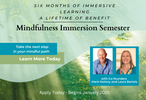 Mindfulness Immersion Semester