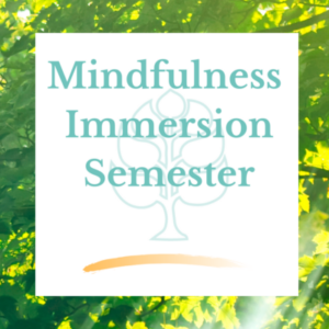 Mindfulness Immersion Semester