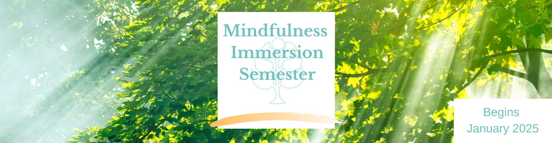 Mindfulness Immersion Semester Web Header