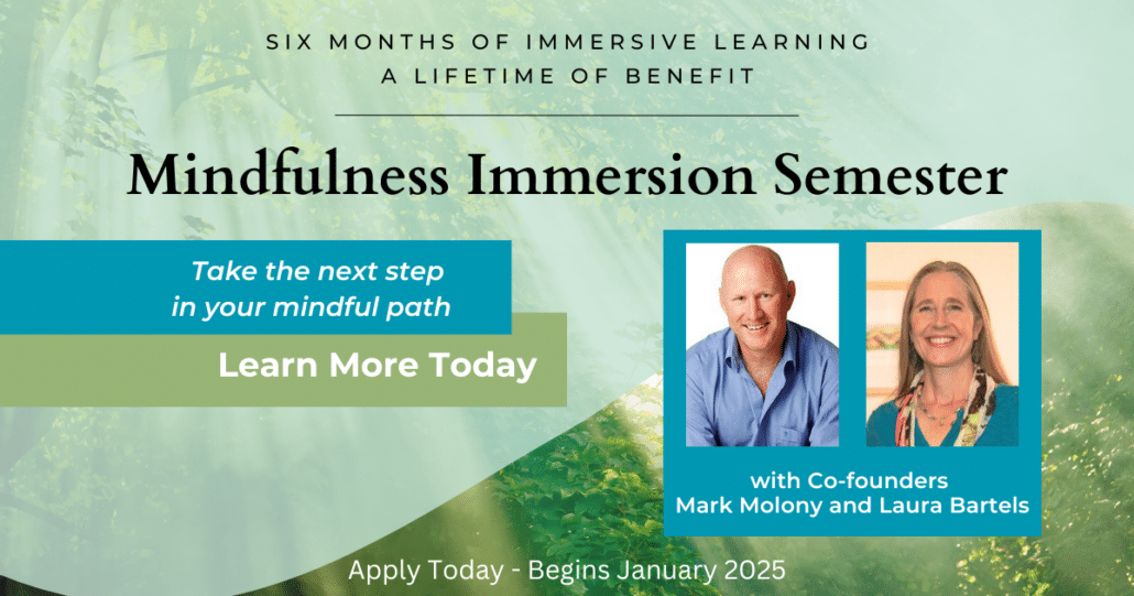 Mindfulness Immersion Semester