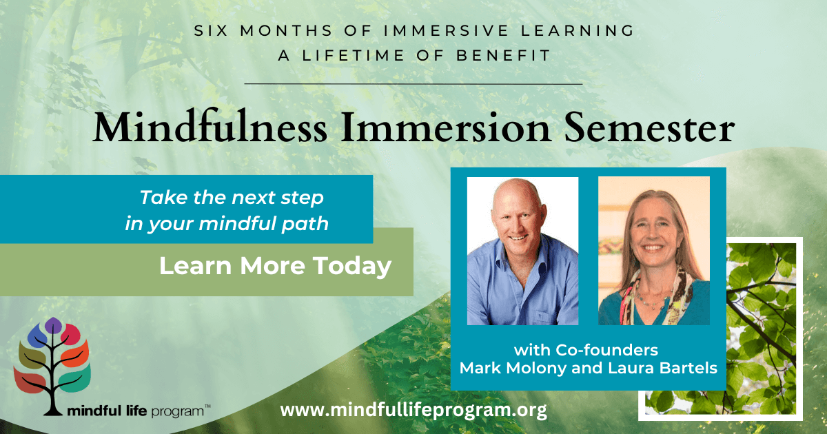 Mindfulness Immersion Semester