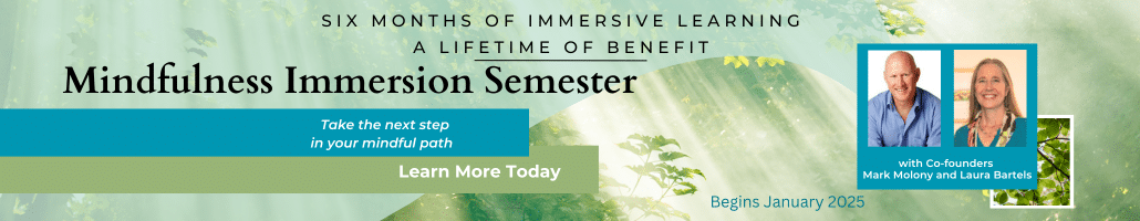 Mindfulness Immersion Semester