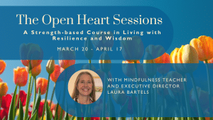 Open Heart Sessions Course