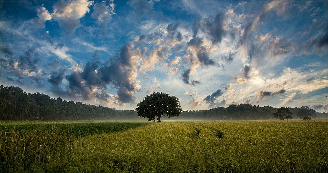 mindfulness meditation